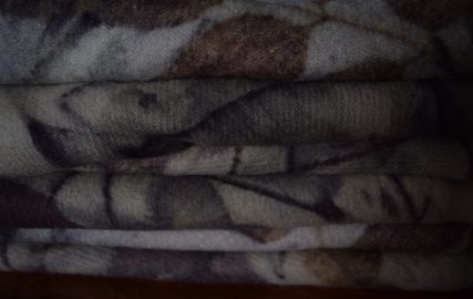 Cathryn Knox Photo 3