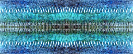 Miranda J Caird copy