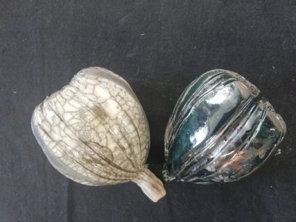 RAW Susanne seed pods