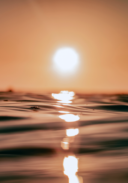 Sara Guix Photo