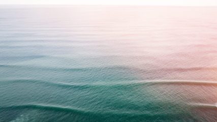 Sara Guix Photography